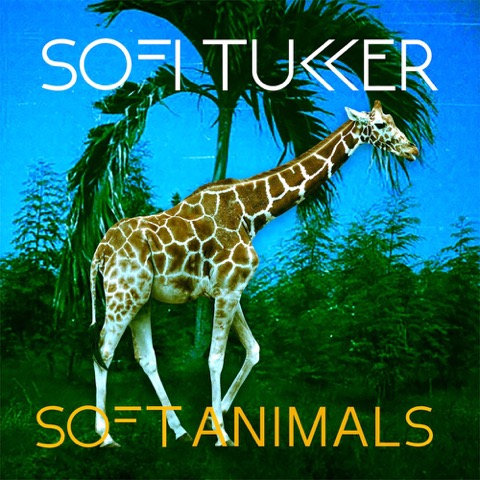 SOFI TUKKER, Soft Animals